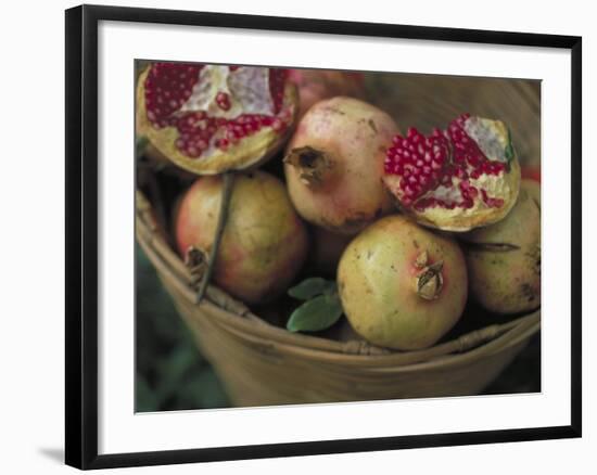 Basket of Pomegranate, Oaxaca, Mexico-Judith Haden-Framed Photographic Print