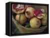 Basket of Pomegranate, Oaxaca, Mexico-Judith Haden-Framed Stretched Canvas