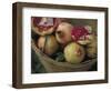 Basket of Pomegranate, Oaxaca, Mexico-Judith Haden-Framed Photographic Print