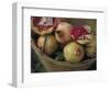 Basket of Pomegranate, Oaxaca, Mexico-Judith Haden-Framed Photographic Print