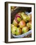 Basket of Pomegranates, Xining, Qinghai, China-Porteous Rod-Framed Photographic Print