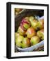 Basket of Pomegranates, Xining, Qinghai, China-Porteous Rod-Framed Photographic Print