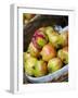 Basket of Pomegranates, Xining, Qinghai, China-Porteous Rod-Framed Photographic Print