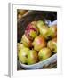 Basket of Pomegranates, Xining, Qinghai, China-Porteous Rod-Framed Photographic Print