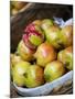 Basket of Pomegranates, Xining, Qinghai, China-Porteous Rod-Mounted Photographic Print