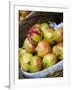 Basket of Pomegranates, Xining, Qinghai, China-Porteous Rod-Framed Photographic Print