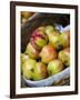 Basket of Pomegranates, Xining, Qinghai, China-Porteous Rod-Framed Photographic Print