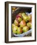 Basket of Pomegranates, Xining, Qinghai, China-Porteous Rod-Framed Photographic Print