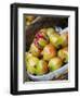 Basket of Pomegranates, Xining, Qinghai, China-Porteous Rod-Framed Photographic Print