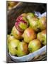 Basket of Pomegranates, Xining, Qinghai, China-Porteous Rod-Mounted Photographic Print