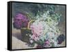 Basket of Romantic Flowers-Pierre Bourgogne-Framed Stretched Canvas