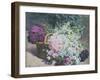 Basket of Romantic Flowers-Pierre Bourgogne-Framed Giclee Print