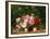 Basket of Roses, 1879-William Hammer-Framed Giclee Print