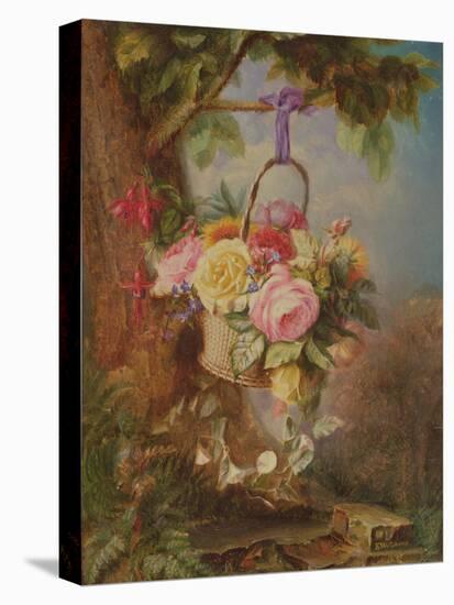 Basket of Roses with Fuschia, 19Th Century-Edward Charles Williams-Stretched Canvas
