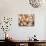 Basket of Sea Shells for Sale at a Shop in St Ives, Cornwall, England-John Warburton-lee-Photographic Print displayed on a wall