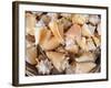 Basket of Sea Shells for Sale at a Shop in St Ives, Cornwall, England-John Warburton-lee-Framed Photographic Print