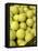 Basket of Tennis Balls-null-Framed Stretched Canvas