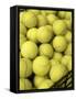Basket of Tennis Balls-null-Framed Stretched Canvas