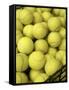 Basket of Tennis Balls-null-Framed Stretched Canvas