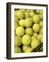 Basket of Tennis Balls-null-Framed Premium Photographic Print