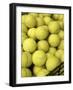 Basket of Tennis Balls-null-Framed Premium Photographic Print