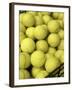 Basket of Tennis Balls-null-Framed Premium Photographic Print