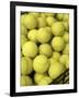 Basket of Tennis Balls-null-Framed Photographic Print