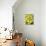 Basket of Tennis Balls-null-Mounted Photographic Print displayed on a wall