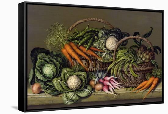 Basket of Vegetables and Radishes, 1995-Amelia Kleiser-Framed Stretched Canvas