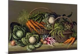Basket of Vegetables and Radishes, 1995-Amelia Kleiser-Mounted Giclee Print