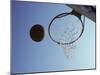 Basketball and Hoop-Paul Sutton-Mounted Photographic Print