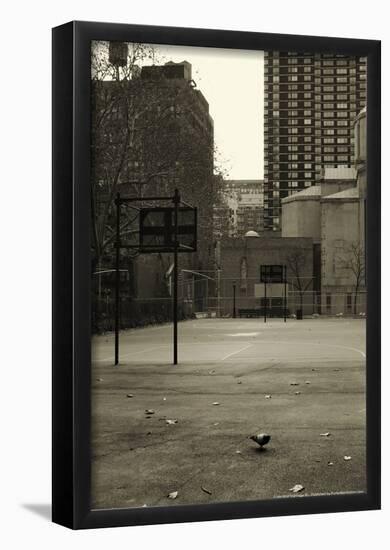Basketball Court Pigeon NYC-null-Framed Poster