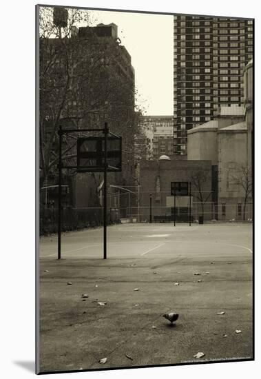 Basketball Court Pigeon NYC-null-Mounted Poster