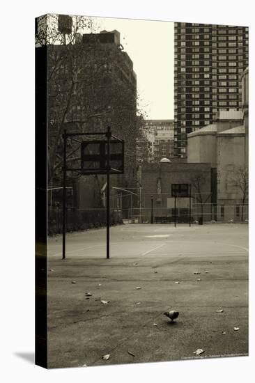 Basketball Court Pigeon NYC-null-Stretched Canvas