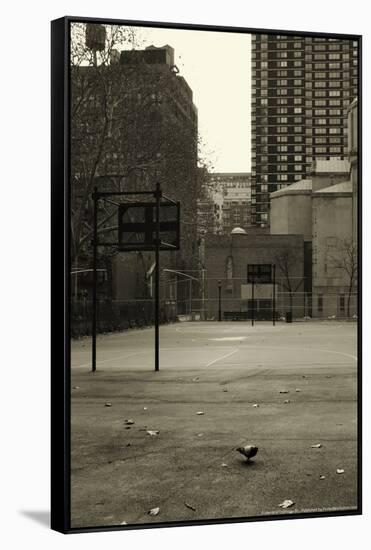 Basketball Court Pigeon NYC-null-Framed Stretched Canvas