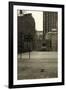 Basketball Court Pigeon NYC-null-Framed Photo