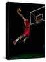 Basketball Game Sport Player in Action Isolated on Black Background-.shock-Stretched Canvas