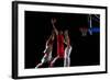 Basketball Game Sport Player in Action Isolated on Black Background-dotshock-Framed Photographic Print