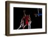 Basketball Game Sport Player in Action Isolated on Black Background-dotshock-Framed Photographic Print