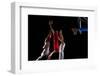 Basketball Game Sport Player in Action Isolated on Black Background-dotshock-Framed Photographic Print