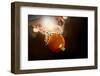 Basketball Going through the Basket at a Sports Arena (Intentional Spotlight)-yobro-Framed Photographic Print