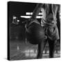 Basketball Held by Player Wilt Chamberlain, 1956-Frank Scherschel-Stretched Canvas