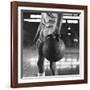 Basketball Held by Player Wilt Chamberlain, 1956-Frank Scherschel-Framed Photographic Print