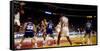 Basketball match in progress, Chicago Bulls, Chicago Stadium, Chicago, Cook County, Illinois, USA-null-Framed Stretched Canvas