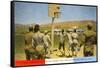 Basketball on Army Base, Salt Lake City, Utah-null-Framed Stretched Canvas