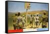 Basketball on Army Base, Salt Lake City, Utah-null-Framed Stretched Canvas