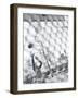 Basketball Player-null-Framed Photographic Print