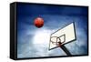 Basketball-olly2-Framed Stretched Canvas