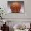 Basketball-null-Photographic Print displayed on a wall