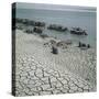 Basketmakers on the Shores of the Indus River-Paul Almasy-Stretched Canvas